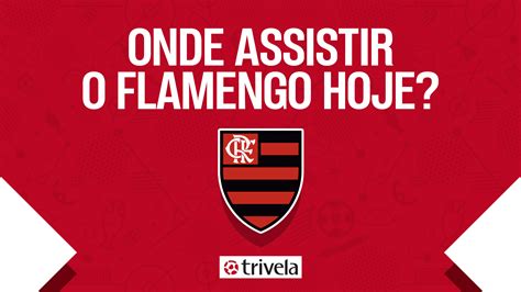 palpite jogo do flamengo hoje.